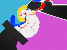 Untitled Untitled